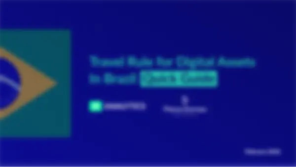 Blurred Turkey Travel Rule PDF